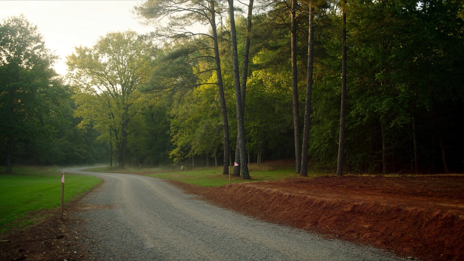 A cleared homesite on wooded central Virginia acreage with a gravel drive and survey stakes